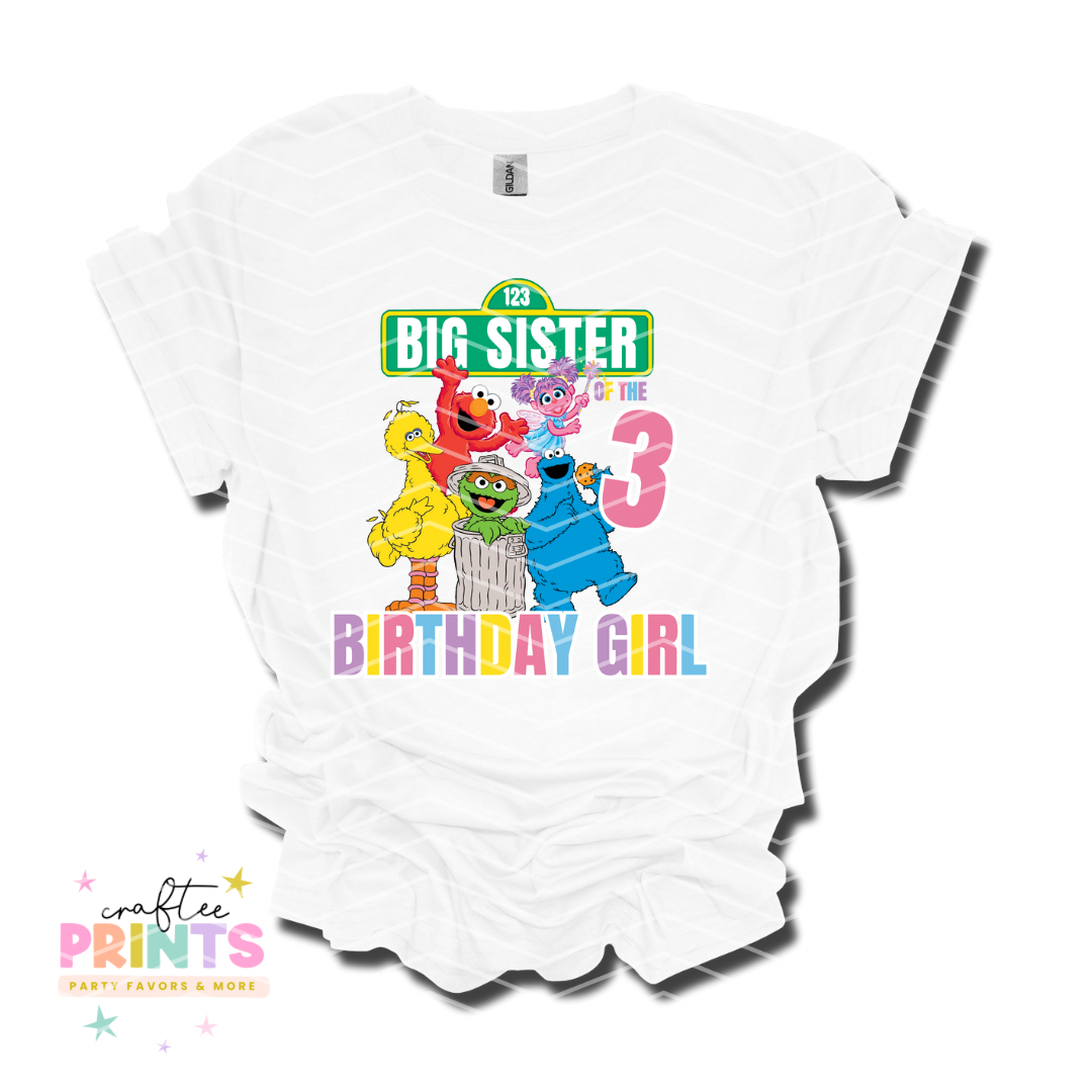 Sesame Street Family Birthday Shirts | Unisex | Birthday Shirt Set