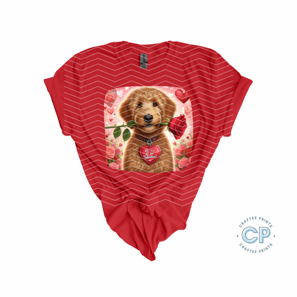 Valentine's Day Shirt | Dog Is My Valentine | Holiday Shirt