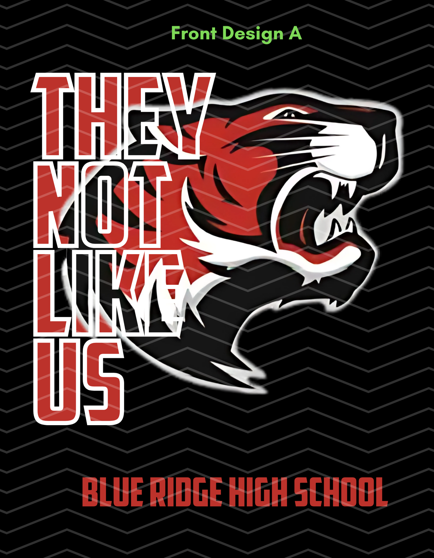 Blue Ridge Basketball Custom Adult Unisex T-Shirt