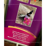 Retractable Banner | Business Branding | Marketing | Banner & Stand | Free Shipping